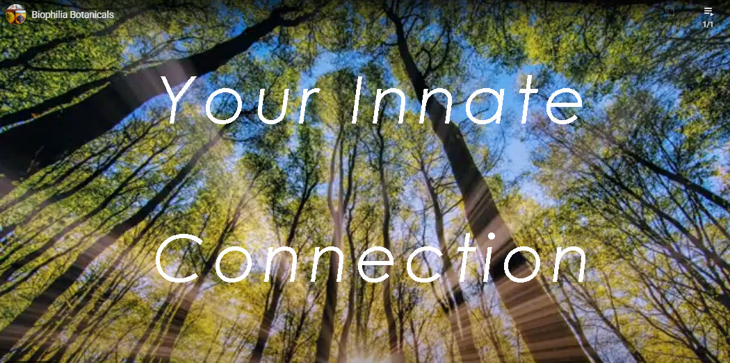Load video: Your Innate Connection Video