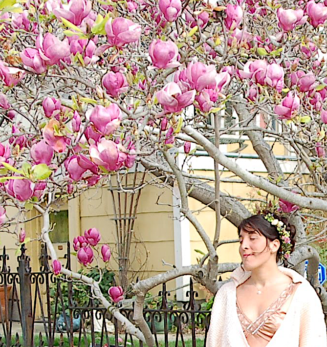 I had a dream…a book half empty