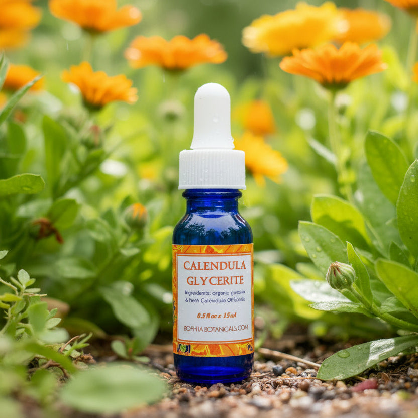Calendula Potion