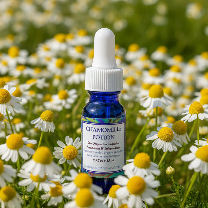 Chamomile Potion
