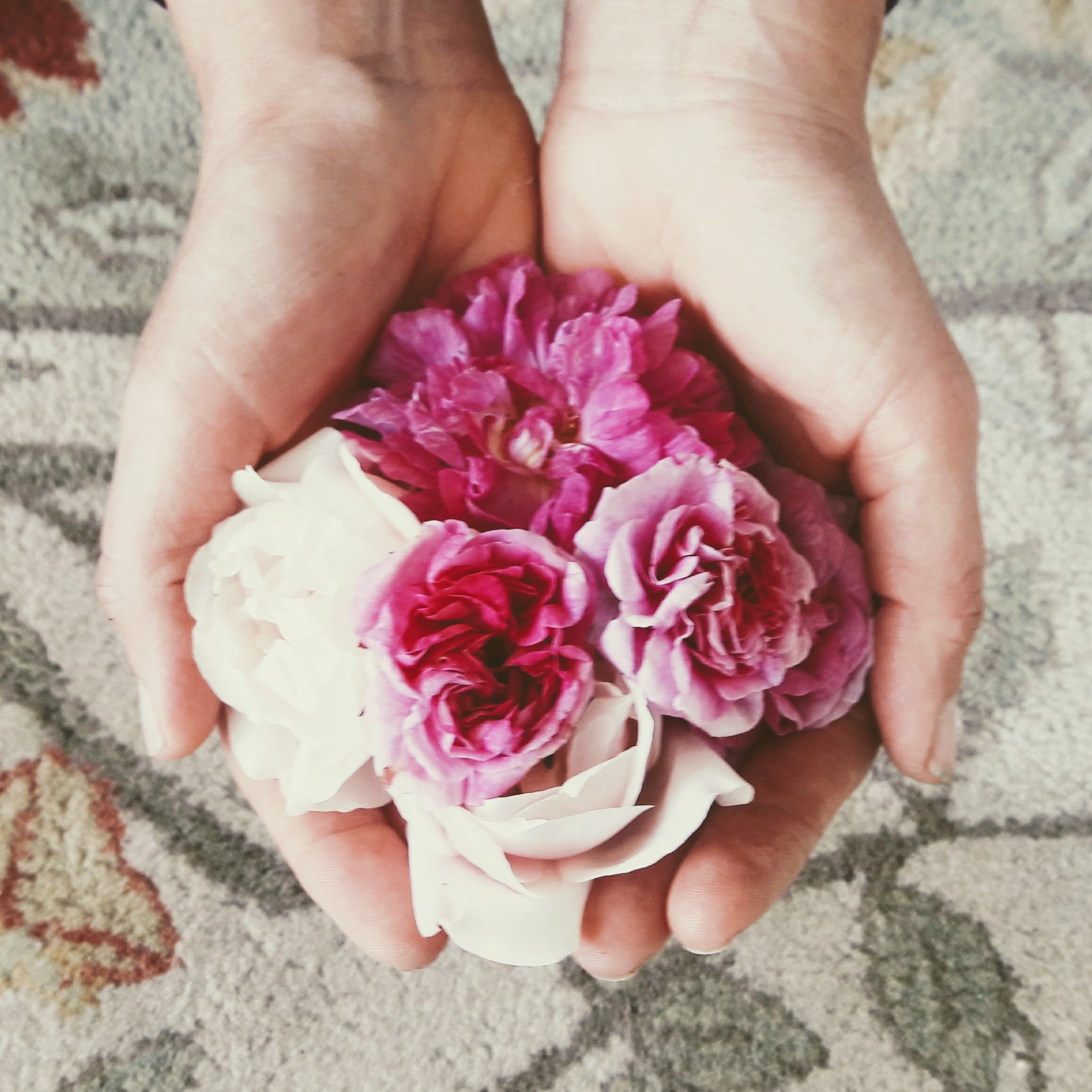 Biophilia Gift Cards